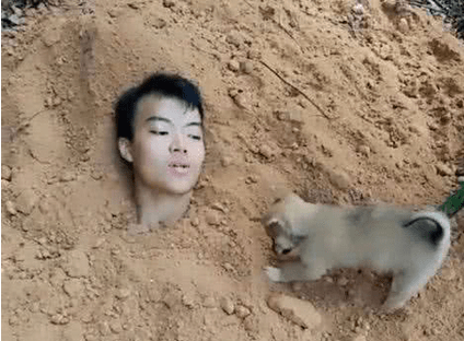 China – Man burying himself alive to test his dog’s loyalty