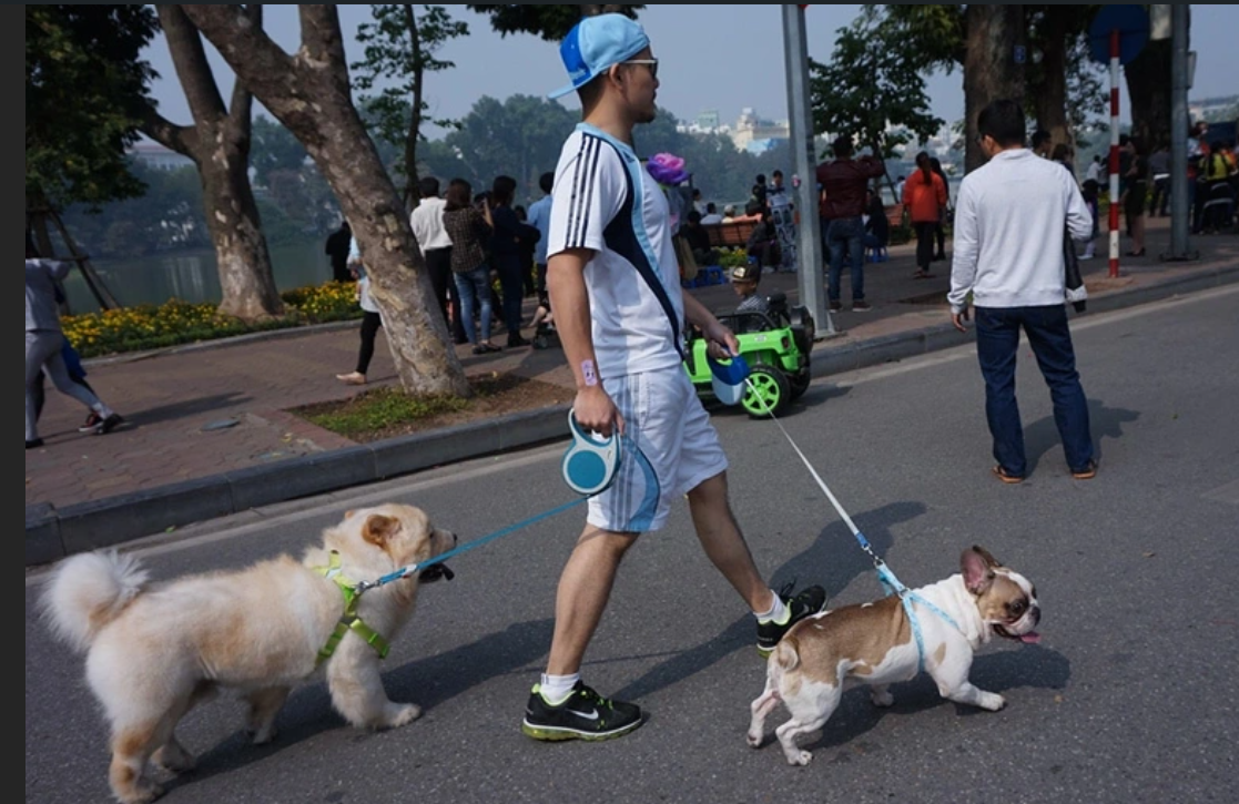 VietNam – HaNoi – Deliberately taking pets, bringing speakers to the pedestrian street of Hoan Kiem Lake, how are they handled?