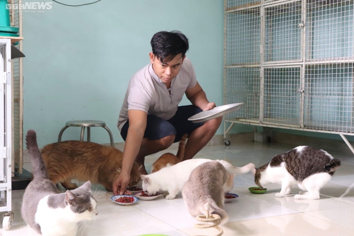 VietNam – Giving love to feral cats, Hong Nhan not only carries, takes care of, but also gives birth by himself, spending money to build a nursery for his special friends.